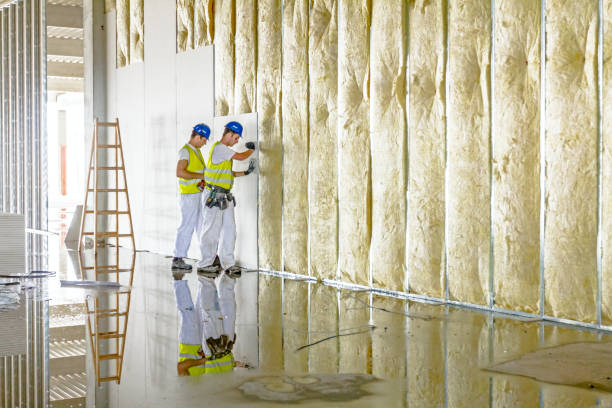 Best Commercial Insulation in Aragon, GA